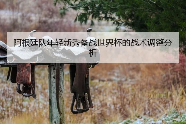 阿根廷队年轻新秀备战世界杯的战术调整分析