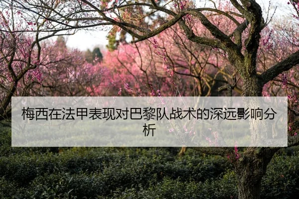 梅西在法甲表现对巴黎队战术的深远影响分析