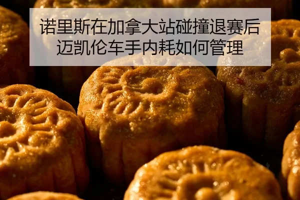 诺里斯在加拿大站碰撞退赛后 迈凯伦车手内耗如何管理