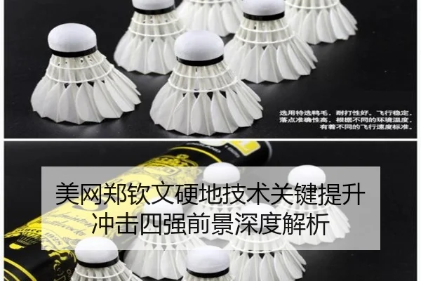 美网郑钦文硬地技术关键提升 冲击四强前景深度解析