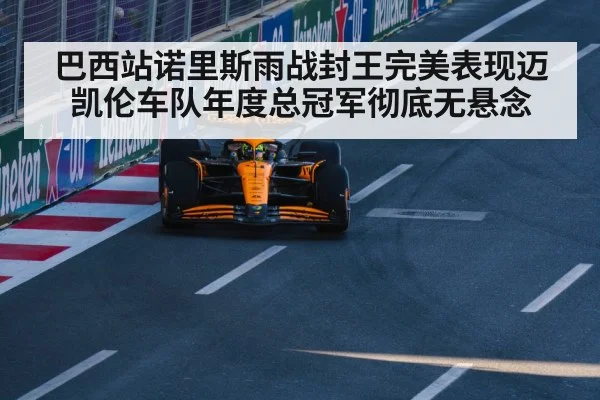 巴西站诺里斯雨战封王完美表现迈凯伦车队年度总冠军彻底无悬念